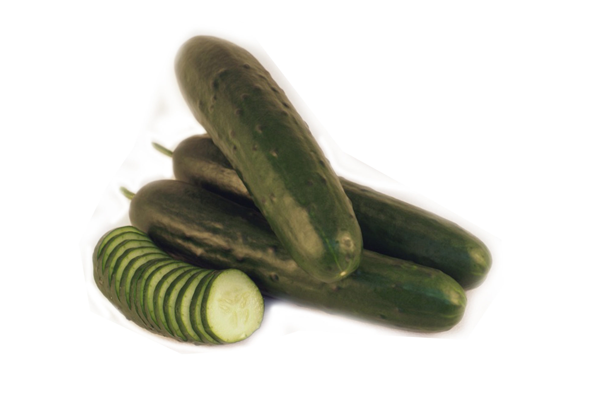 Agrofesa Slicer Cucumber