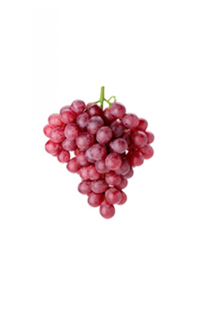 TABLE GRAPES, FLAMES
