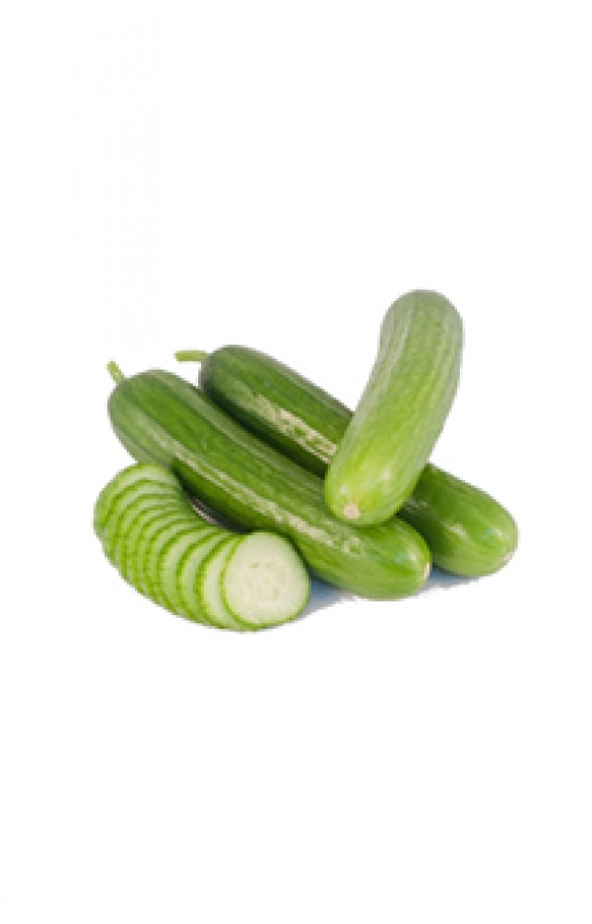 Persian Cucumber