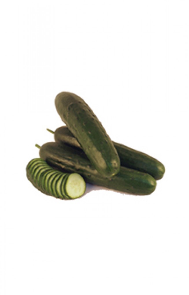 cucumber slicer reviews