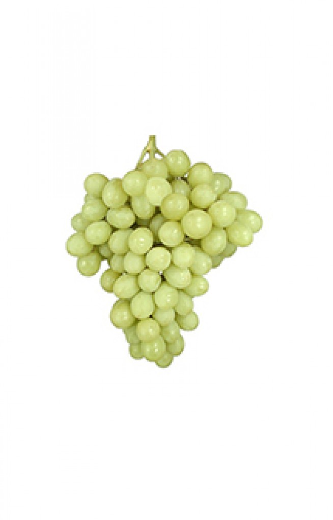 Table Grapes, Sugraone